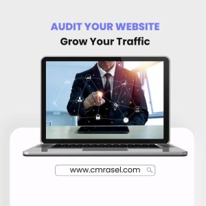 Website Audit